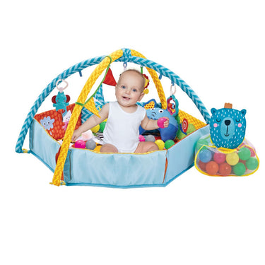 Activity Gym, Play Mat & Balls